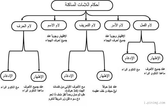 هل جميع انواع البيوع حلال في الاسلام؟ اكتشف الأحكام الشرعية