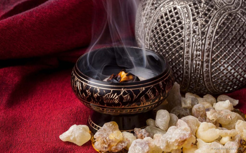 ما هو البخور الذي يقتل البعوض؟