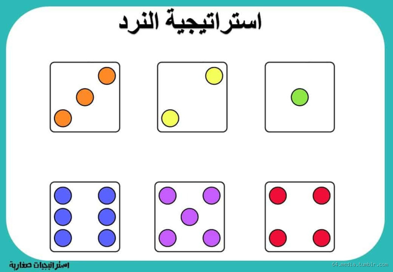 ما هي أسماء النرد؟ اكتشف كيف تسمى الأشكال المختلفة!