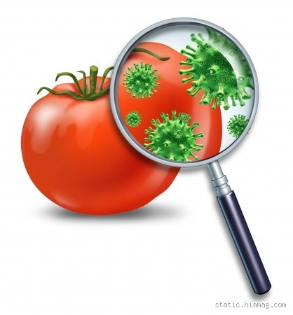 من علامات فساد الأطعمة تغير اللون؟ اكتشف الحقيقة الكاملة