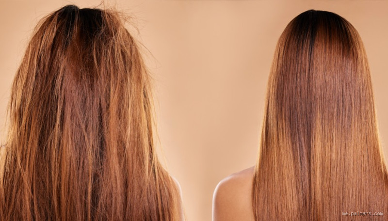 من علامات جمال الشعر؟ اكتشف أسرار الشعر الجميل