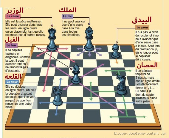 هل قطع الشطرنج ترجع للخلف؟ تعرف على قواعد اللعبة الأساسية