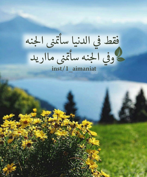 هل سنعيش مع من نحب في الجنة؟ سؤال يشعل القلوب