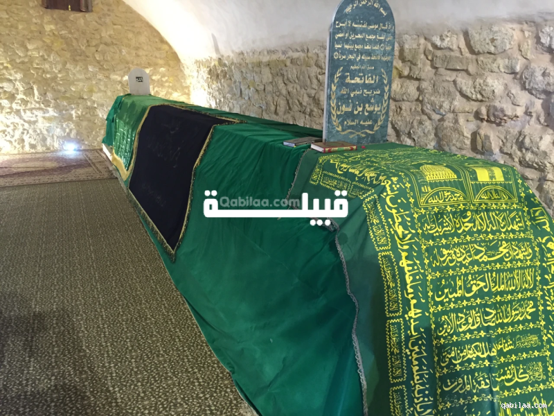 هل يوجد نبي ولد في الجزائر؟