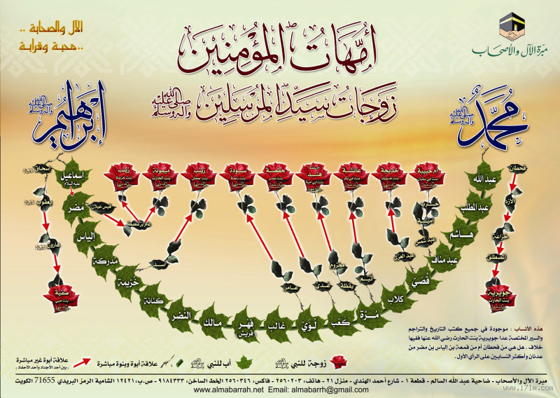 كم عدد زوجات الإمام علي عليه السلام؟