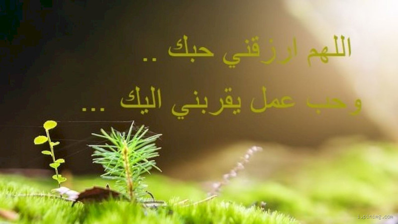 <h2>كيف أستشعر محبة الله في حياتي؟</h2>