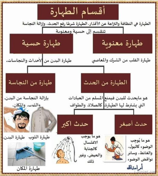 ما هو الجنب في الإسلام؟ اكتشف أسرار الطهارة والغسل