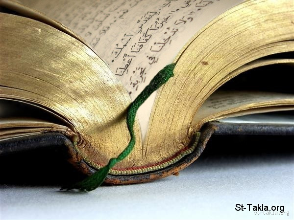 ما المقصود بالجزائر في الكتاب المقدس؟ اكتشاف صادم ومثير