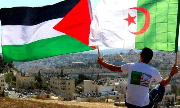 ماذا يقول الشعب الفلسطيني عن الجزائر؟