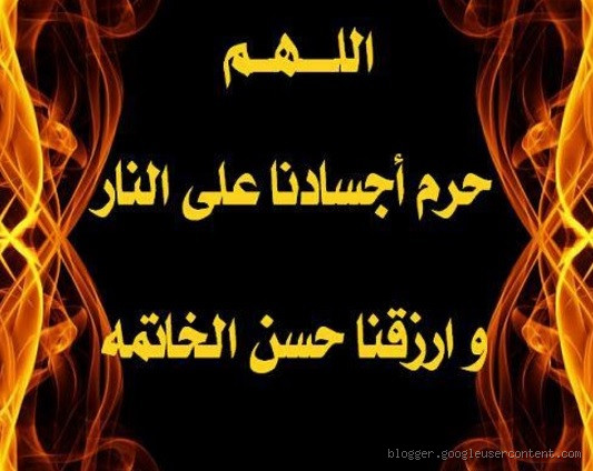 ما هو تعريف المتن؟ كل ما تحتاج معرفته