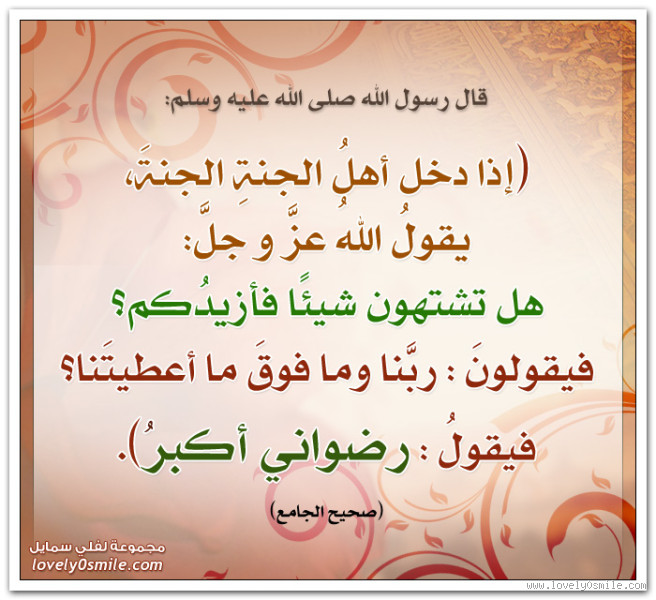 هل في الجنة يوم جمعة؟ اكتشف الحقيقة وراء هذا السؤال