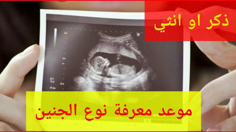 هل جبريل ذكر أم أنثى؟