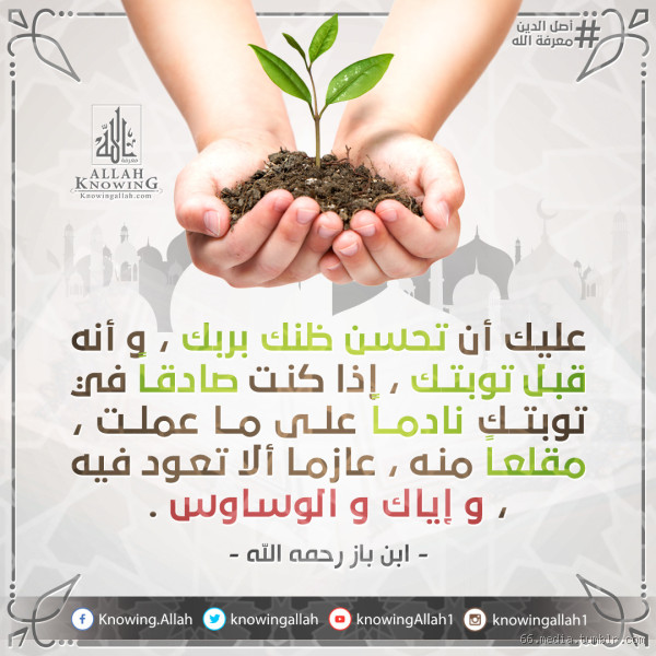 هل العودة للذنب دليل على عدم قبول التوبة؟