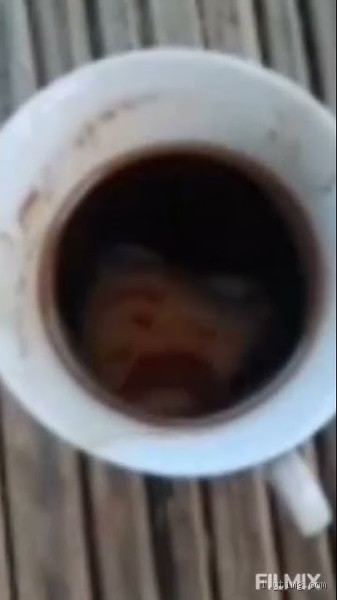 هل الجن يحبون القهوة؟