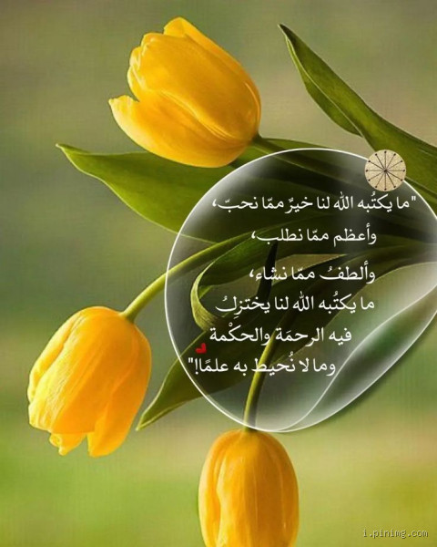 هل الله يريد لنا الخير؟ فهم إرادة الله في حياتنا