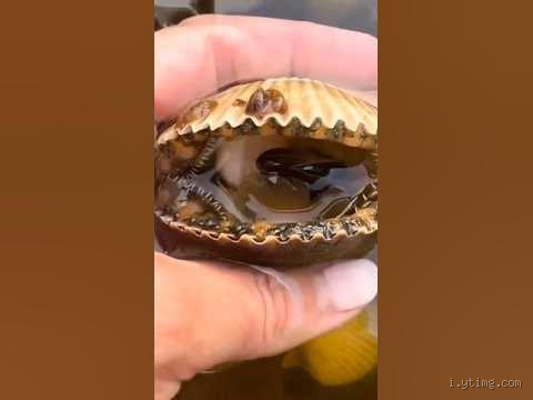 هل للمستقيم نهاية؟ اكتشف الحقيقة وراء هذا السؤال الغامض