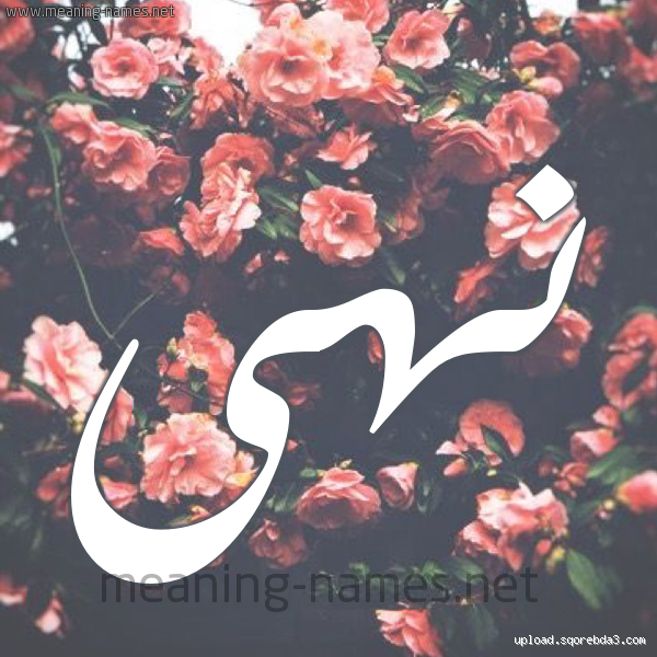 هل يُسمى 'نهى' محظورًا في الإسلام؟