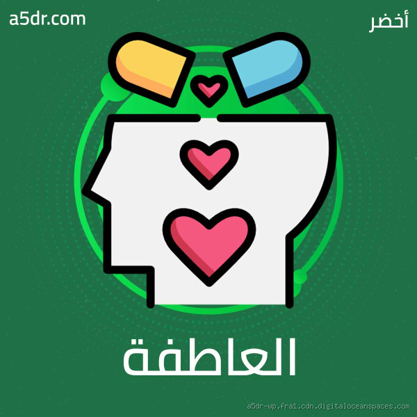 هل تحكم عقلك أم قلبك؟ قرارك بين المنطق والعاطفة