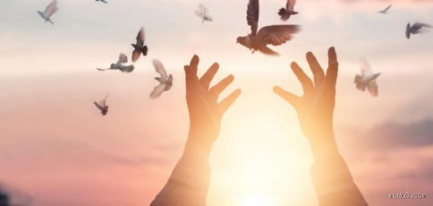 هل ترجع الروح بعد الموت؟ سؤال يهز القلوب والعقول