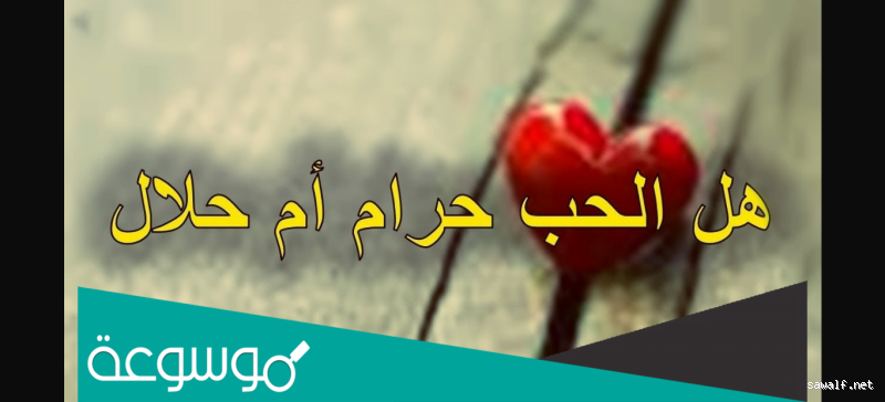 هل عيد الحب حرام عند الشيعة؟ تحليل الموقف الشرعي والثقافي