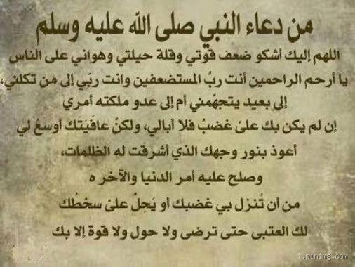 هل يمكن أن يكون القمل ابتلاء؟ اكتشف الحقيقة وراء هذا السؤال