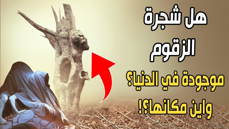 هل يوجد في الدنيا شجرة الزقوم؟ الحقيقة التي قد لا تعرفها!