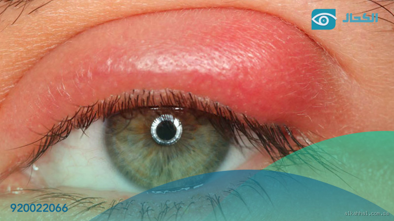 كم عدد الديانات السماوية في العالم؟ اكتشف الحقيقة المدهشة