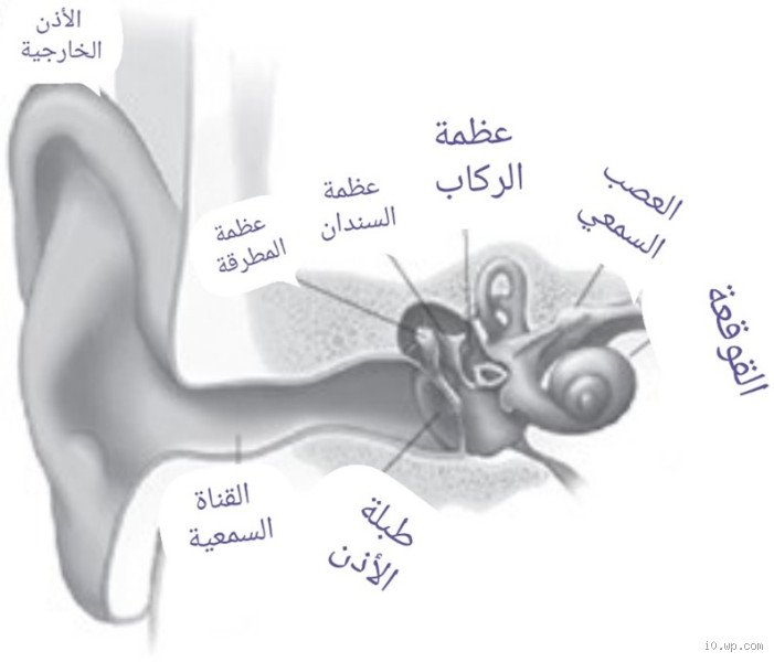 كيف يسمع الإنسان صوته الحقيقي؟