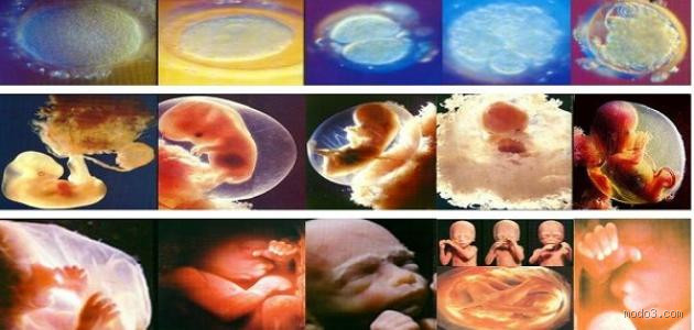 لماذا خلق الله الإنسان بألوان مختلفة؟ فهم حكمة التنوع