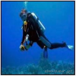 لماذا لا نسمع الصوت تحت الماء؟