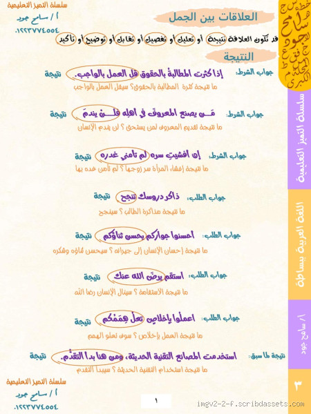 لماذا الجمل يخاف من الإنسان؟ تساؤلات حول العلاقة بين الجمل والإنسان