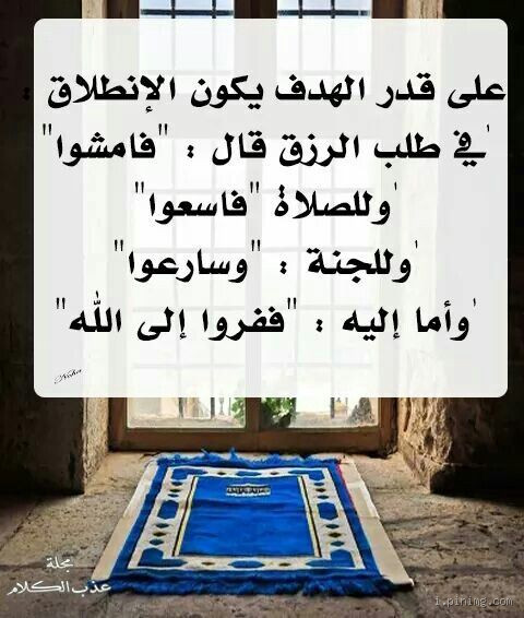 لماذا طلب الله من الإنسان السعي للعمل؟ الحكمة التي قد تغير نظرتك