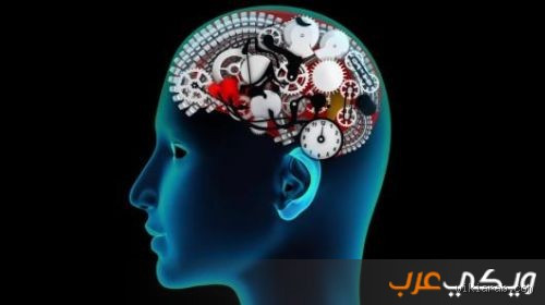 الإنسان كم لديه عقل؟ اكتشف الحقيقة وراء قدرات العقل البشري