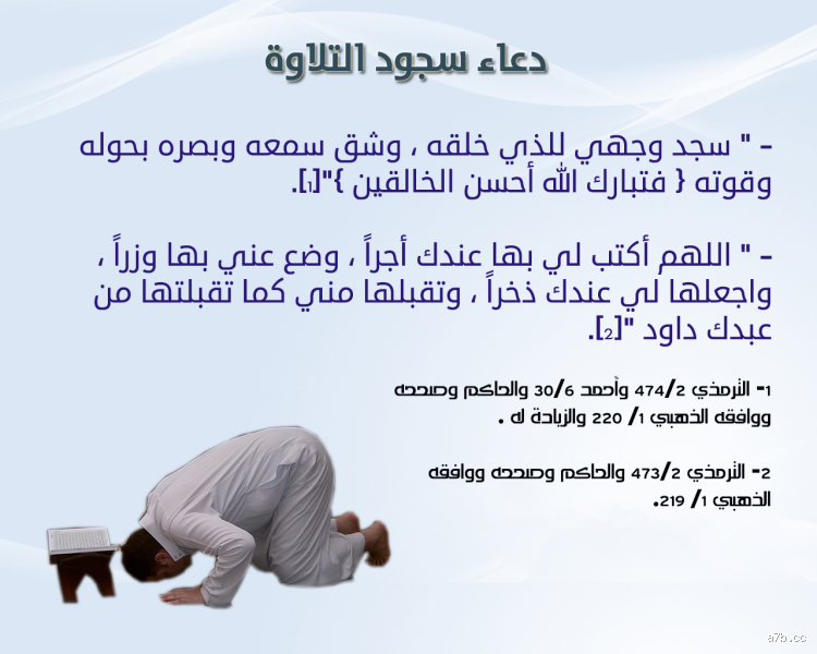 ما حكم من لم يسبح في السجود؟ تعرف على حكم هذه المسألة