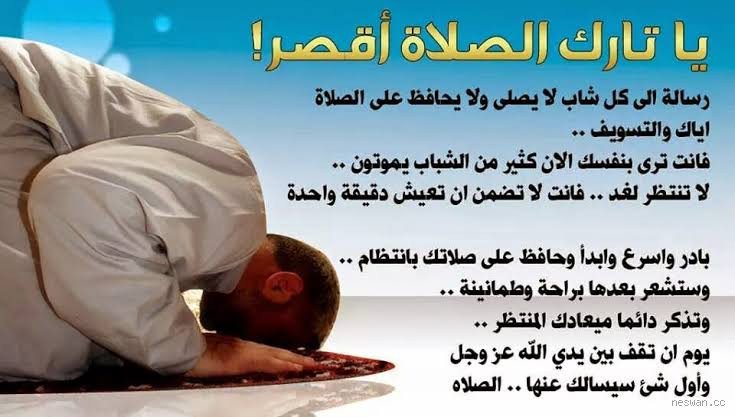 ما حكم من ترك سنة من سنن الصلاة عمداً؟ تعرف على التفاصيل