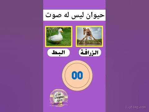 ما هو الحيوان الذي ليس له دماغ؟