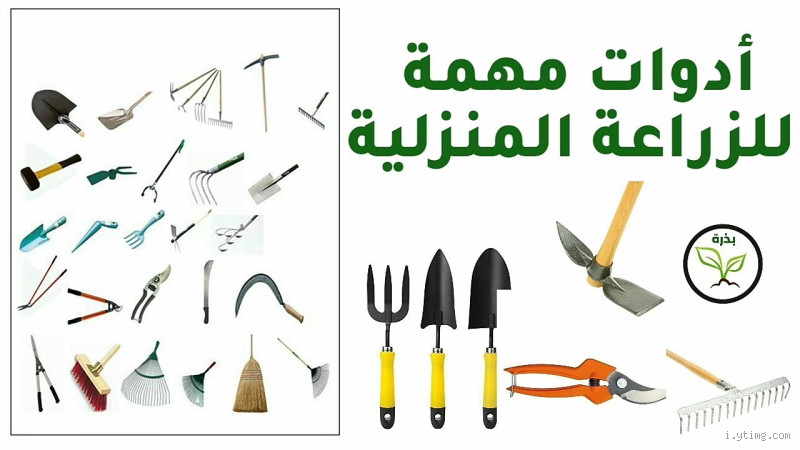 ما هو اسم أدوات الزراعة؟ اكتشف أدوات الزراعة الأساسية والمهمة