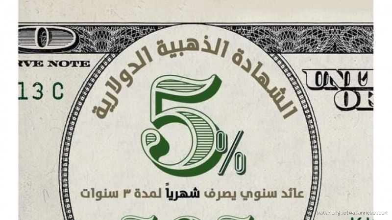 ما هي الشهادة الدولارية؟