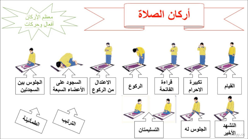 ما هي الصلاة المسنونة عند الشيعة؟ تعرف على أهم الصلوات المستحبة