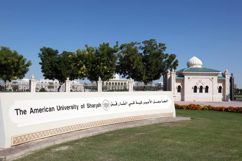 ما هي تخصصات الجامعة الأمريكية؟ اكتشف الاختيارات المثيرة