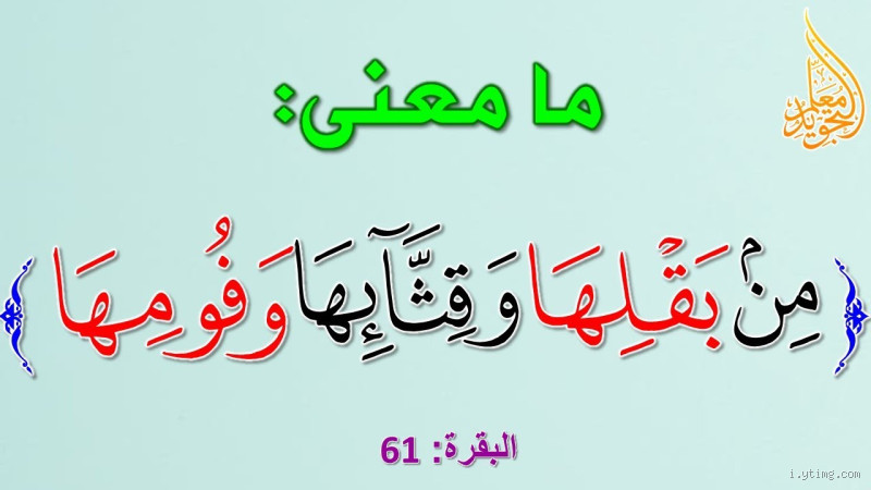 ما معنى البصلة؟ كل ما يجب أن تعرفه عن هذه الكلمة