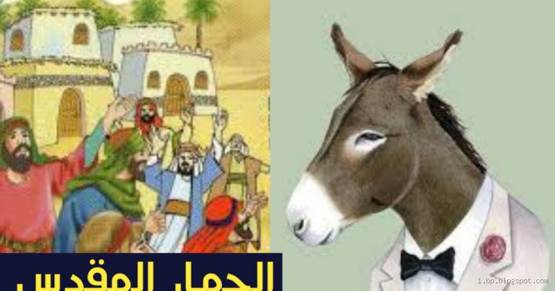 ماذا قال رسول الله عن الحمار؟ حقائق وأحاديث قد تفاجئك