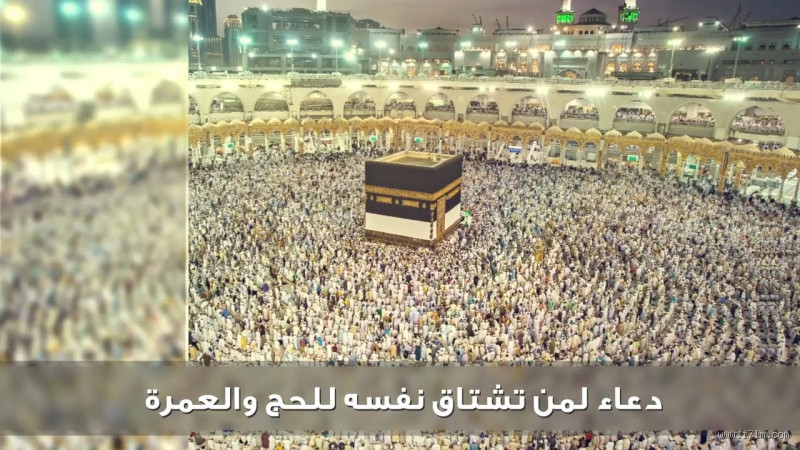 ماذا يفعل المعتمر قبل الذهاب للعمرة؟ خطوات هامة وأسرار الرحلة