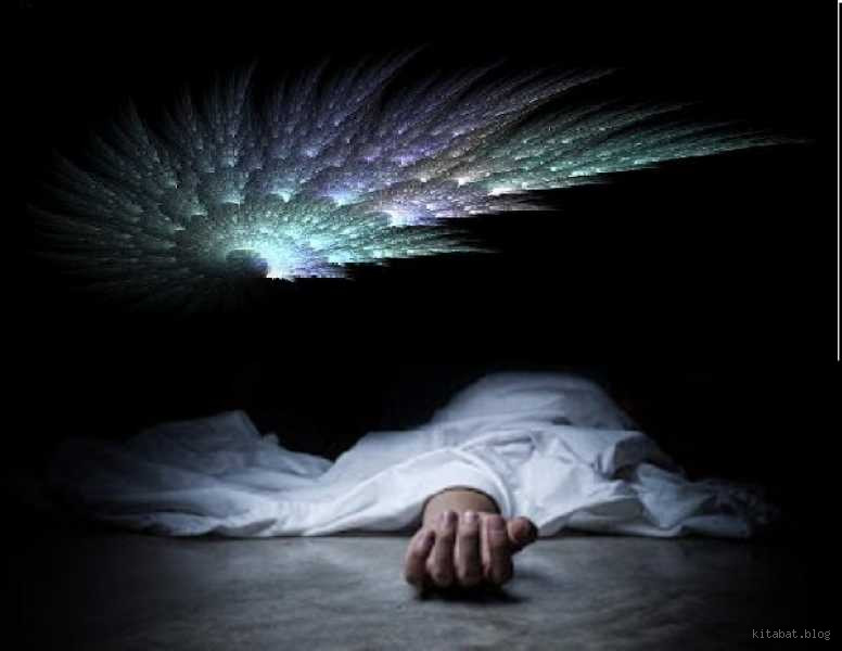 ماذا يأكل الملائكة؟