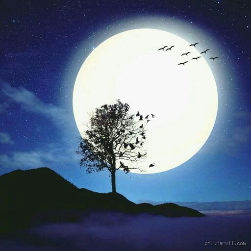 ماذا يسمى الليل بدون قمر؟