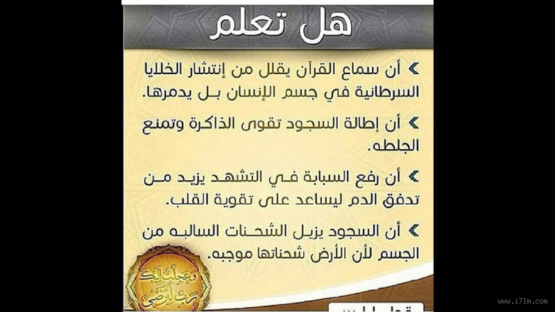 من هم أقرب إلى المسلمين؟ علاقات وتفاعلات دينية وثقافية