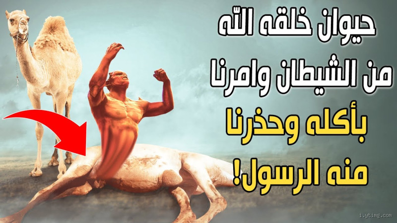 من هو الحيوان الذي خلق من الشيطان ويجوز أكله؟