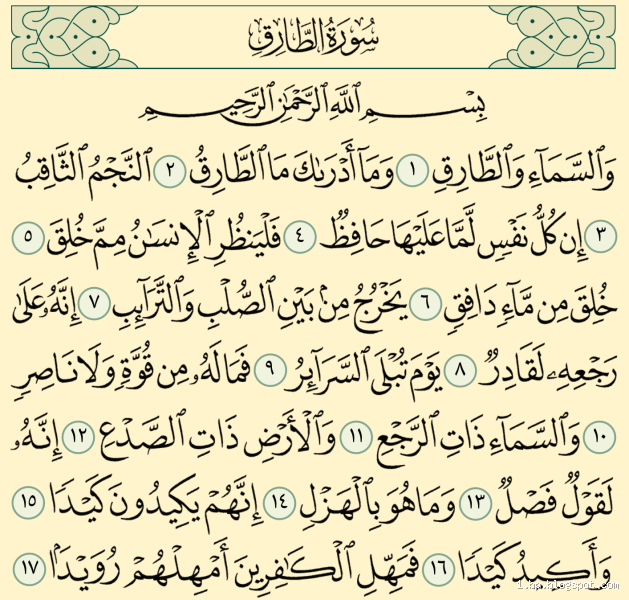 من خلال سورة الطارق، فيما أمر الله تعالى الإنسان بالتفكر؟