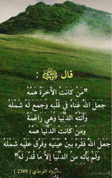 من كانت الآخرةُ همَّه الدرر السنية؟ تعرّف على السعي وراء النعم الآخرة