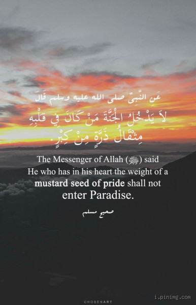 من لا يصلي لا يدخل الجنة؟ تساؤلات وأفكار حول هذا الموضوع الهام